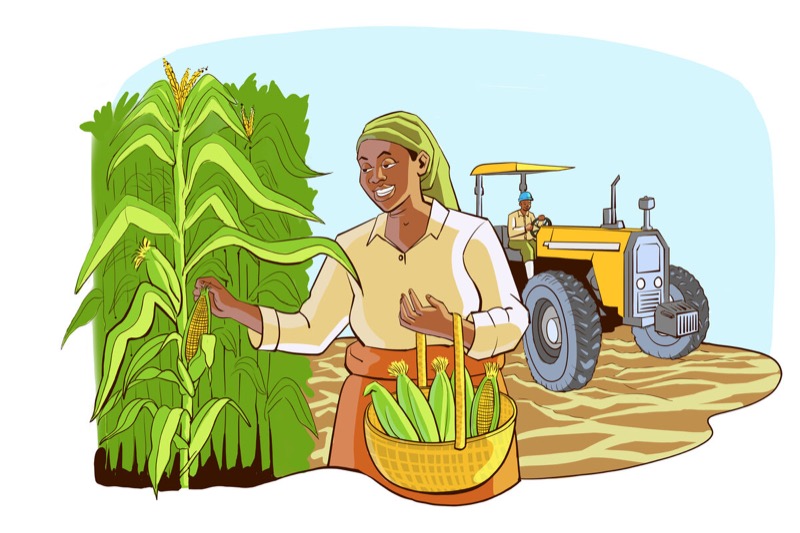 Custom digital illustrations for brand storytelling and web design